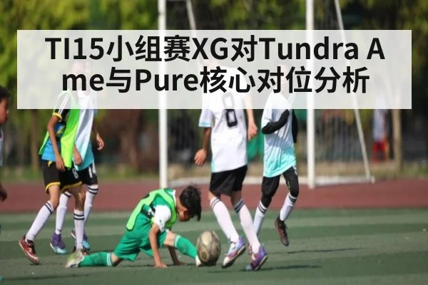 TI15小组赛XG对Tundra Ame与Pure核心对位分析